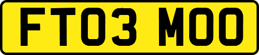 FT03MOO