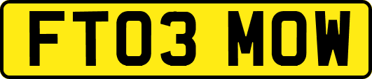 FT03MOW