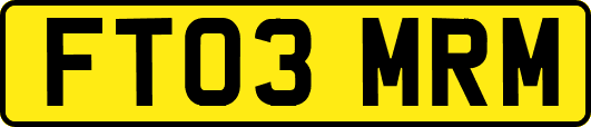 FT03MRM