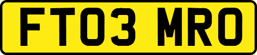 FT03MRO