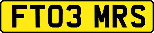 FT03MRS