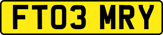 FT03MRY