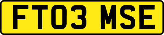 FT03MSE