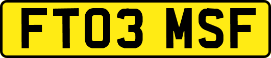 FT03MSF