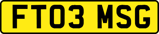 FT03MSG