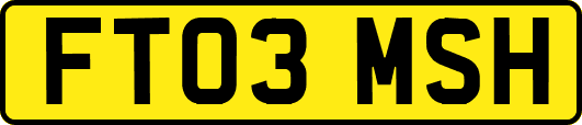 FT03MSH