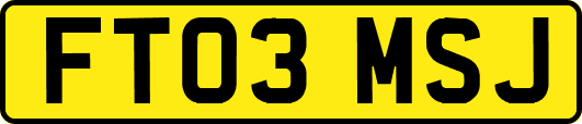 FT03MSJ