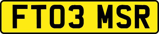 FT03MSR