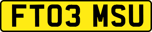 FT03MSU