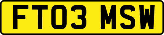 FT03MSW