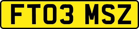 FT03MSZ