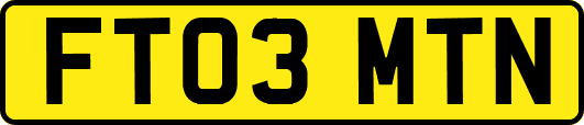 FT03MTN