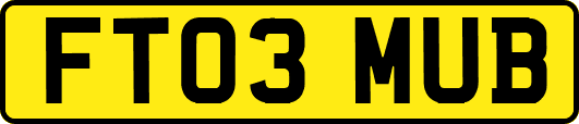 FT03MUB