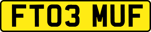 FT03MUF