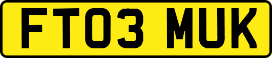 FT03MUK