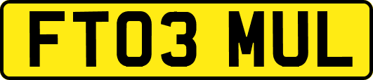 FT03MUL