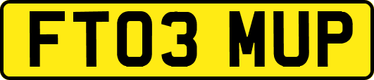 FT03MUP