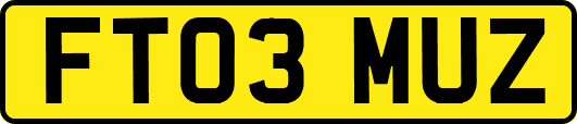 FT03MUZ