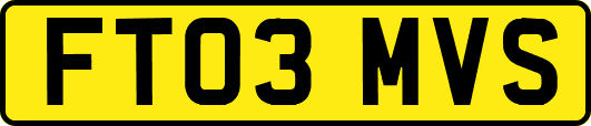 FT03MVS