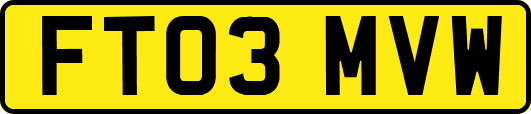 FT03MVW