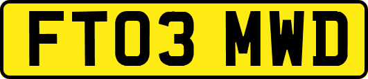 FT03MWD