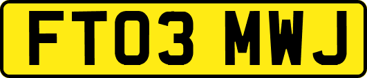 FT03MWJ