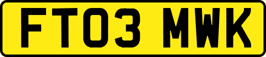 FT03MWK