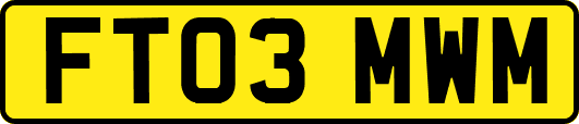 FT03MWM