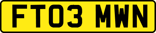 FT03MWN