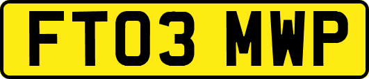 FT03MWP