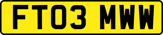 FT03MWW