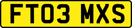 FT03MXS