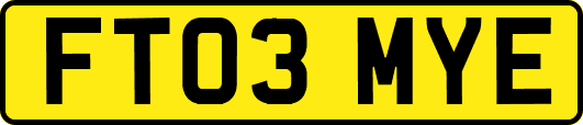 FT03MYE