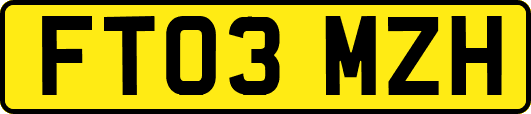 FT03MZH