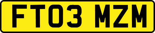 FT03MZM