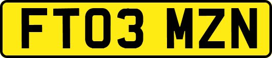FT03MZN