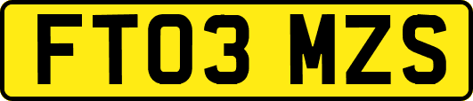FT03MZS