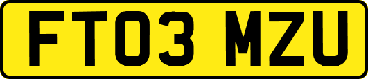 FT03MZU