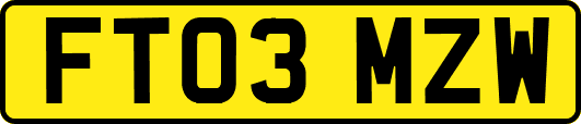 FT03MZW