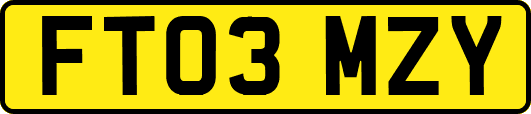 FT03MZY