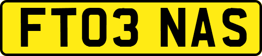 FT03NAS