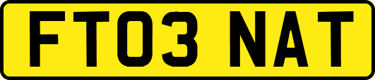 FT03NAT
