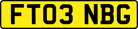 FT03NBG