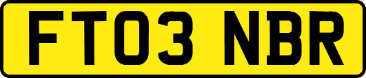 FT03NBR