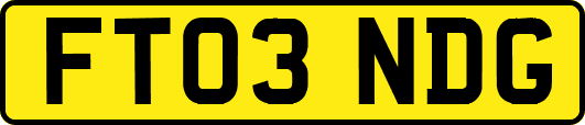 FT03NDG