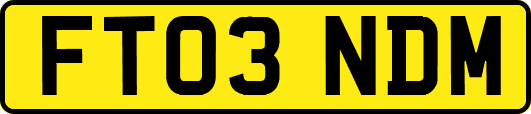 FT03NDM