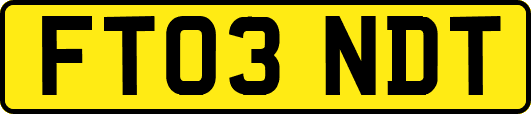 FT03NDT