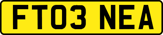 FT03NEA