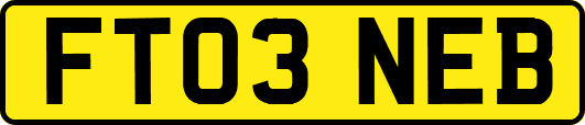 FT03NEB