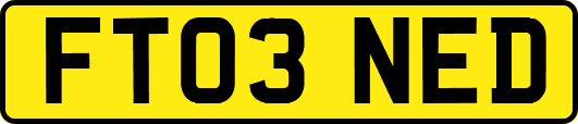 FT03NED